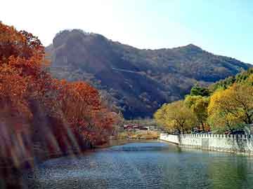 天天彩好彩天天免费，中国卫通集团